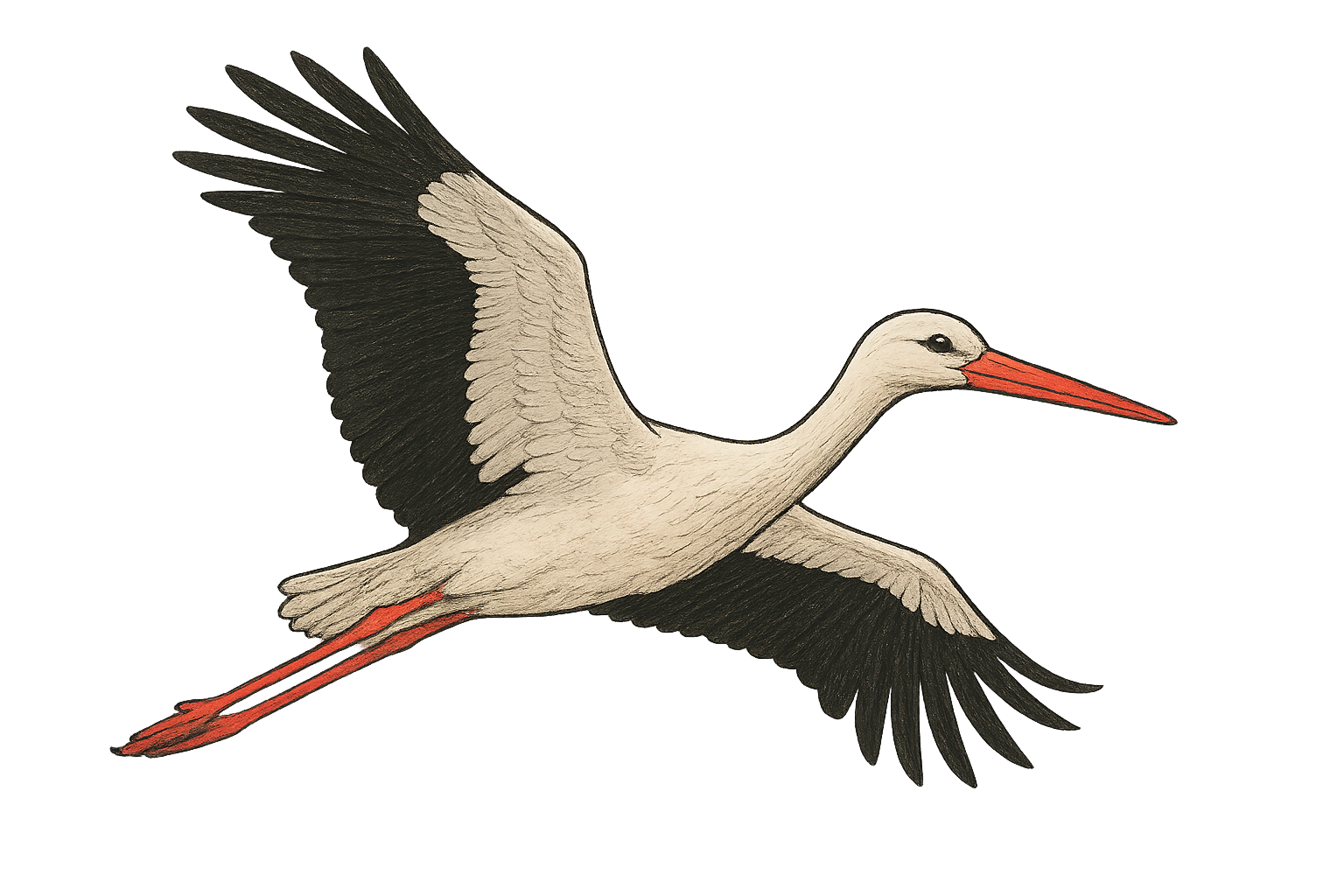 fewoamstorchennest.de